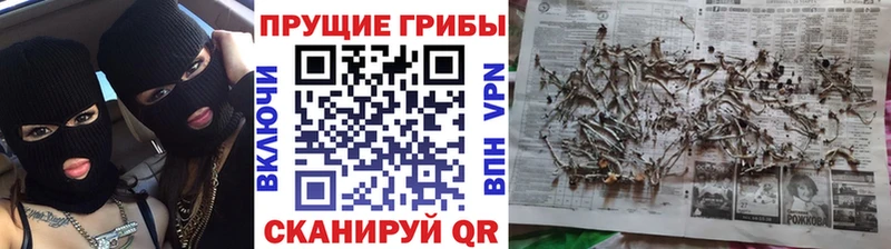 Псилоцибиновые грибы Magic Shrooms  kraken зеркало  Ува  закладки 